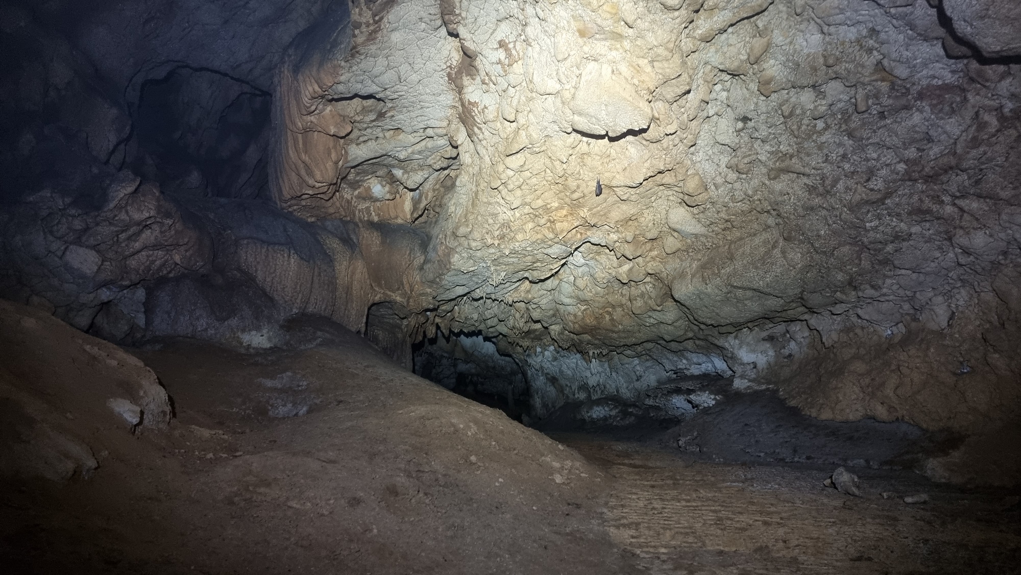 Spre Galeria lui Veverca